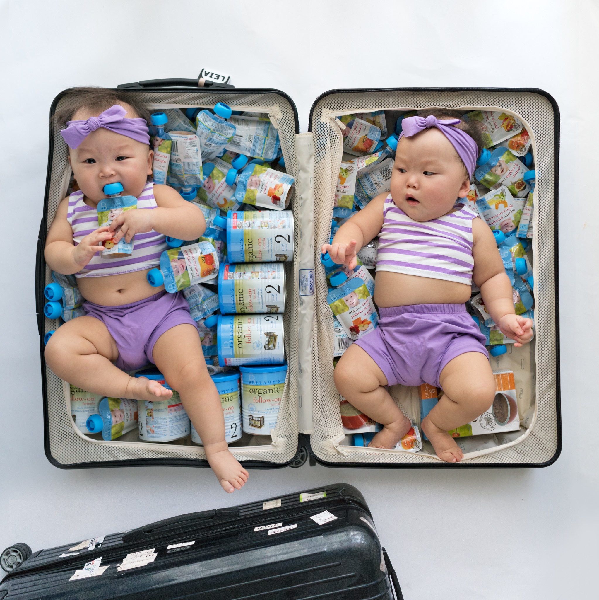 Bellamy ảnh 2 Bellamy anh 2