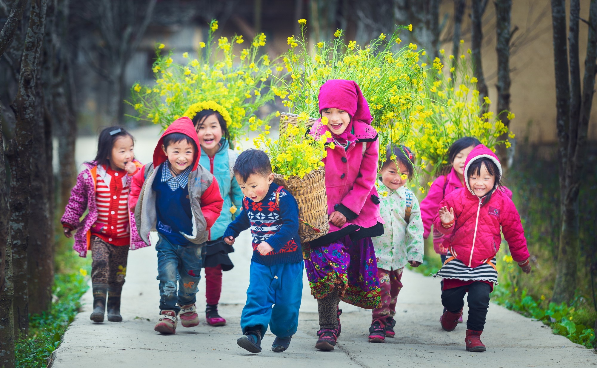 vietravel ảnh 2 vietravel anh 2