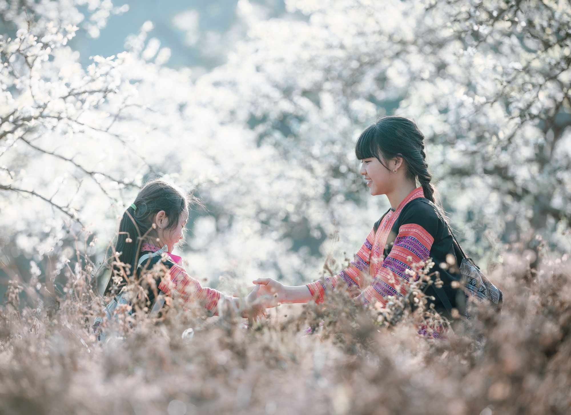 vietravel ảnh 4 vietravel anh 4