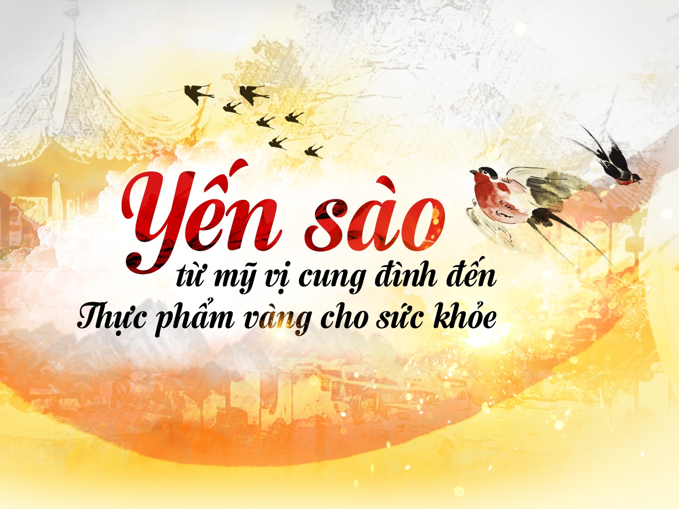 Yen sao - tu my vi cung dinh den thuc pham vang cho suc khoe hinh anh
