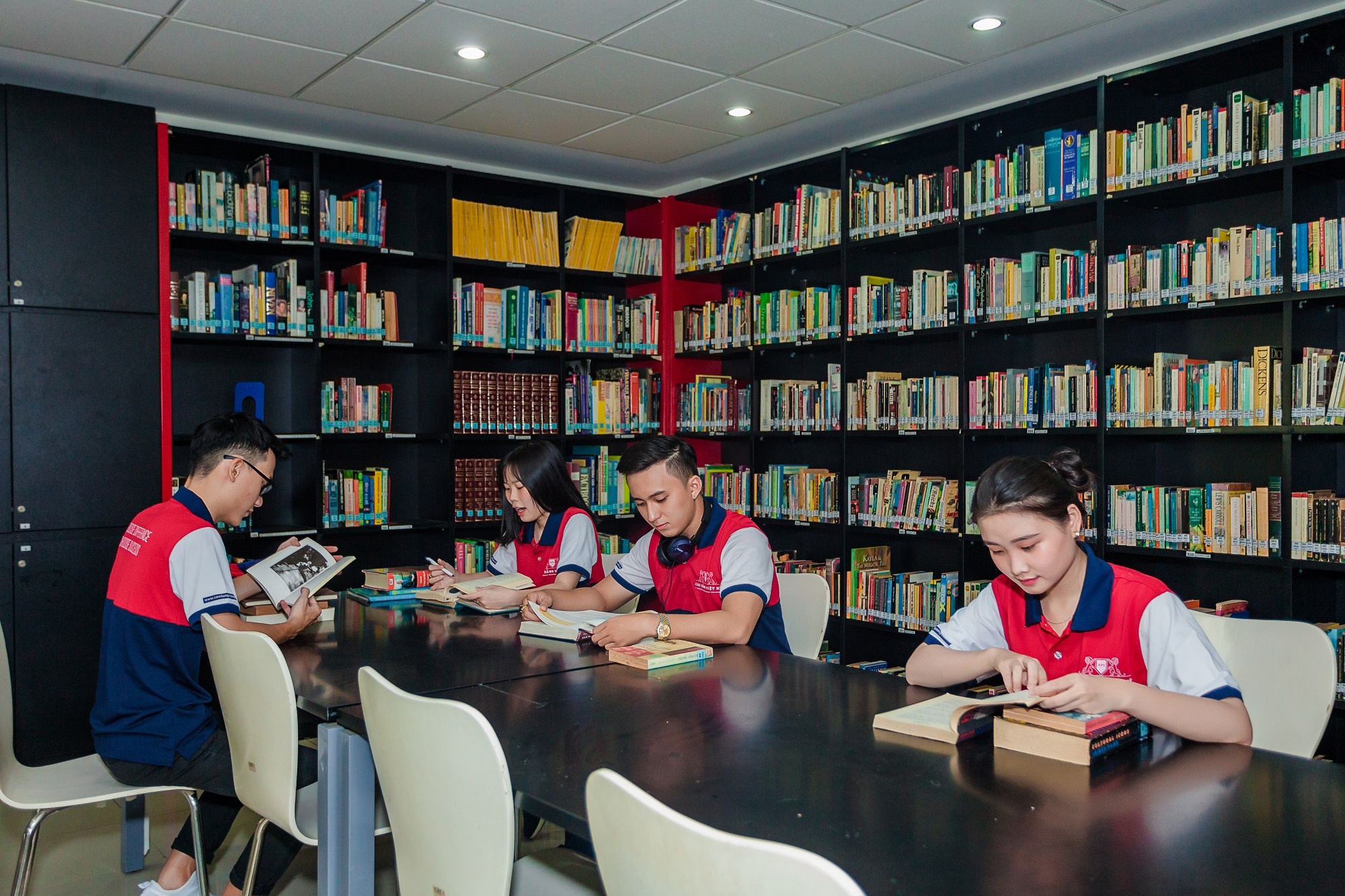 Cao dang Viet My anh 1