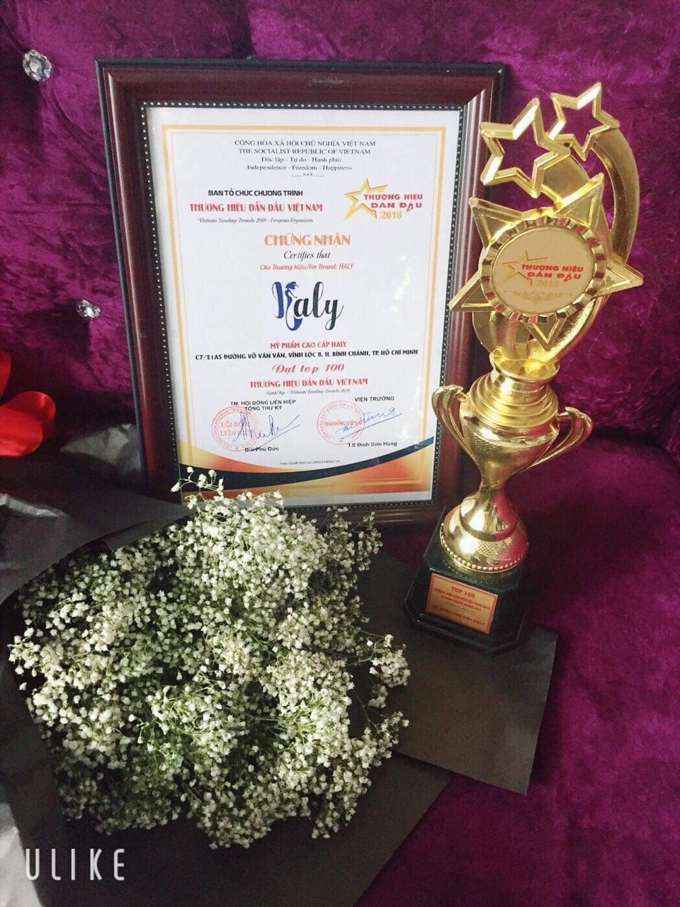 Haly ảnh 2 Haly anh 2