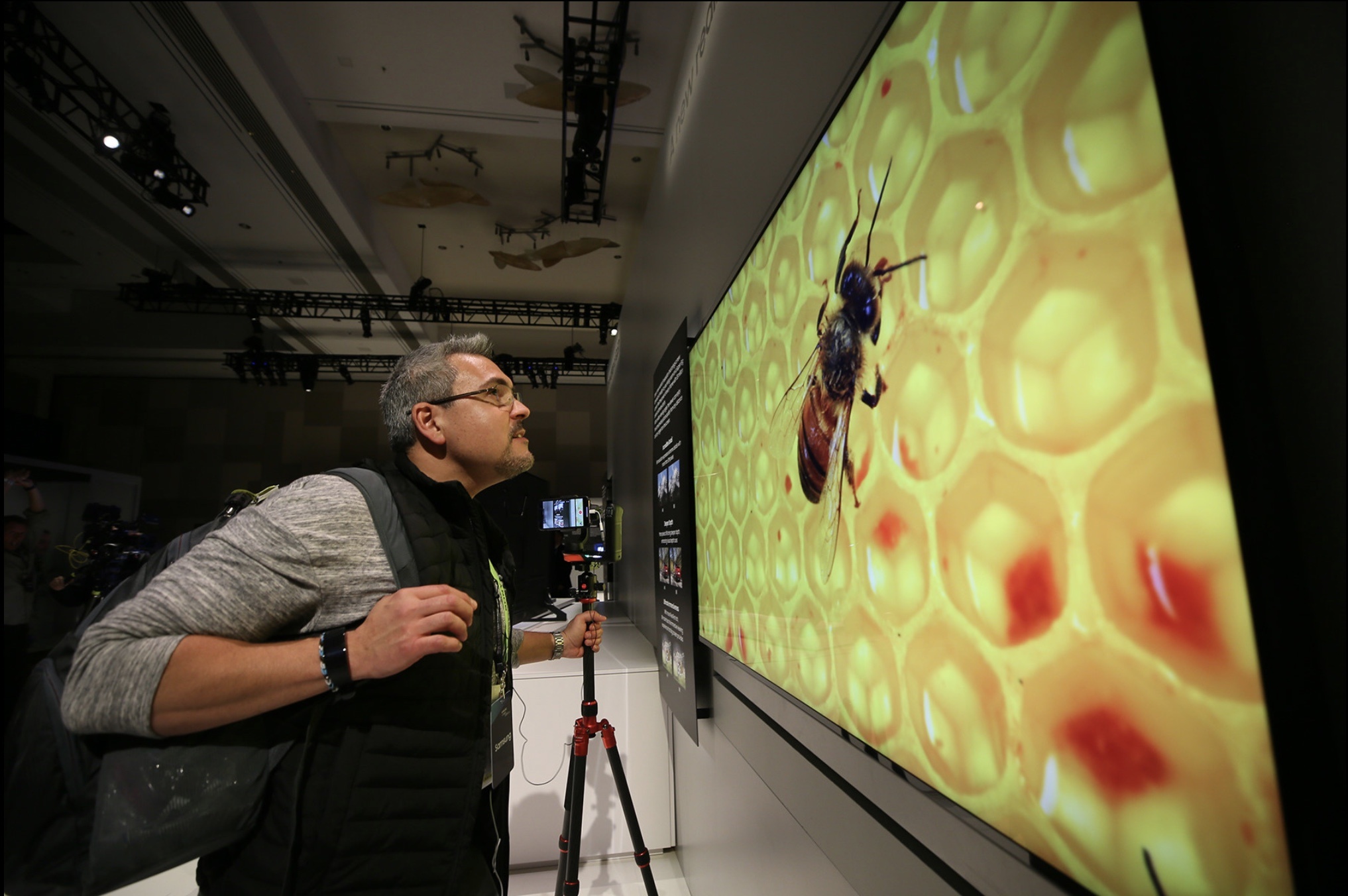 Samsung ảnh 2 Samsung anh 2