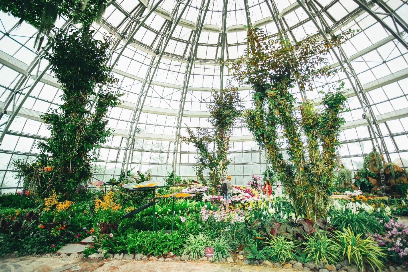 Vinpearl Land ảnh 8 Vinpearl Land anh 8