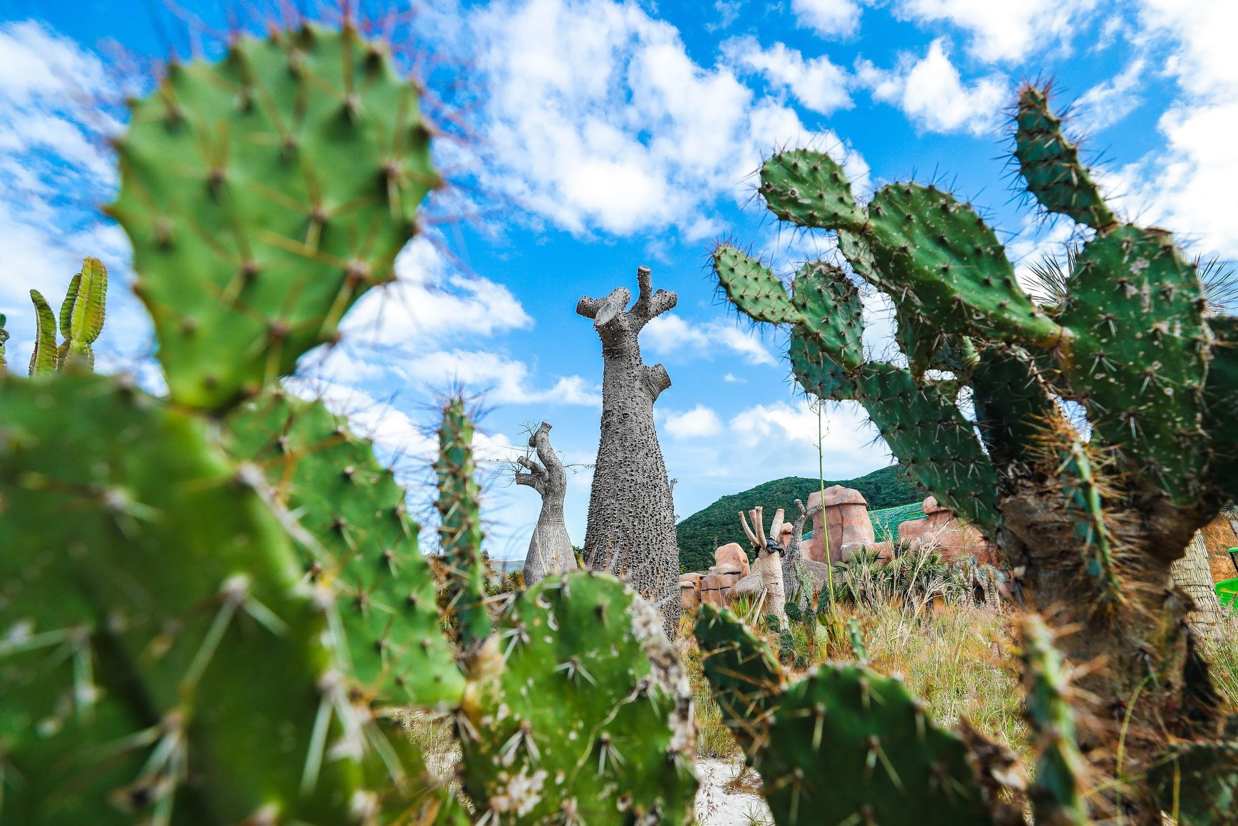 Vinpearl Land ảnh 9 Vinpearl Land anh 9