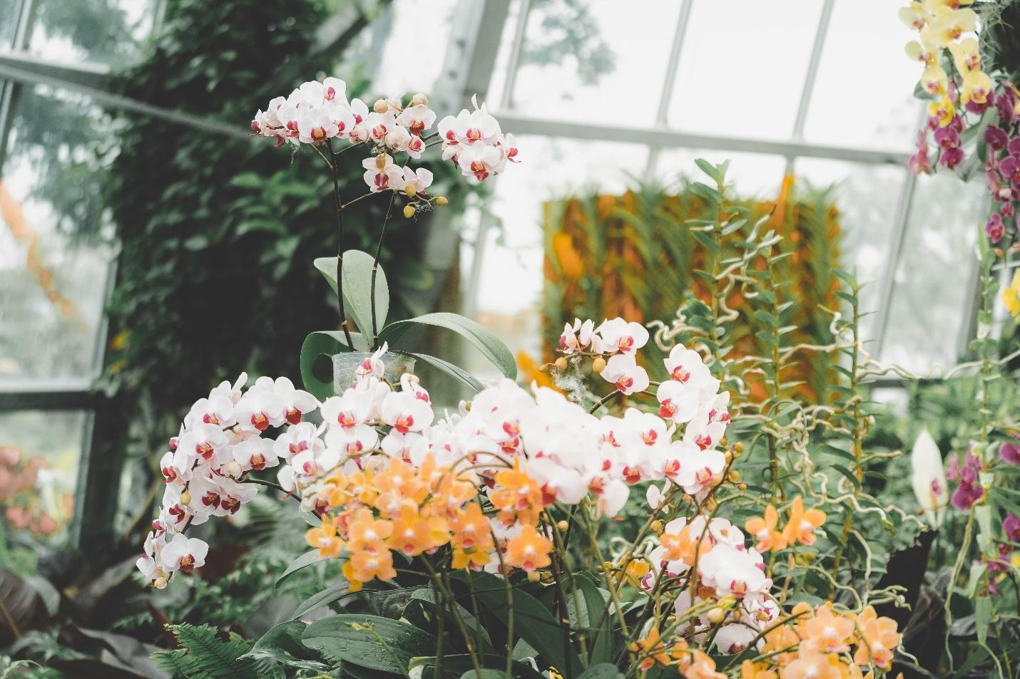 Vinpearl Land ảnh 10 Vinpearl Land anh 10