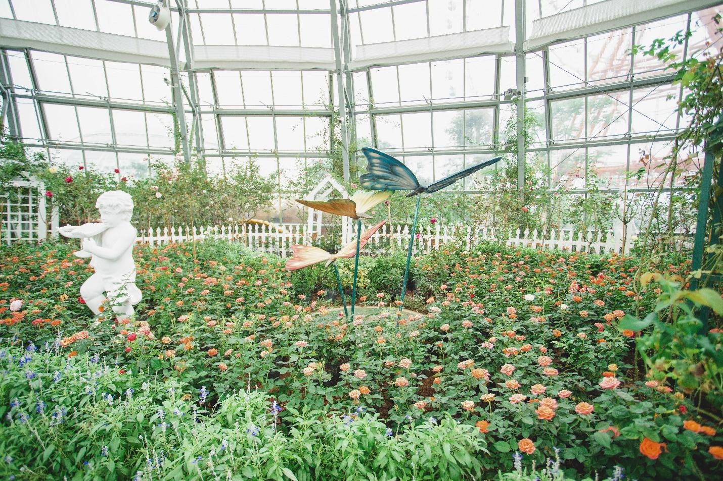 Vinpearl Land ảnh 11 Vinpearl Land anh 11