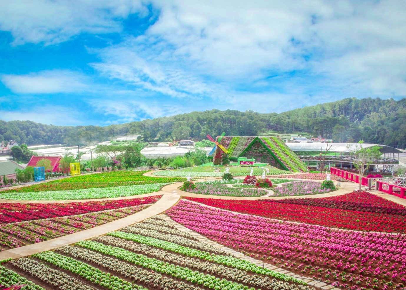 Fresh Dalat ảnh 2 Fresh Dalat anh 2