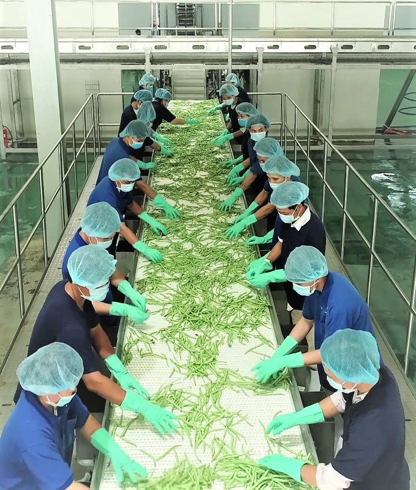 Lavifood ảnh 1 Lavifood anh 1