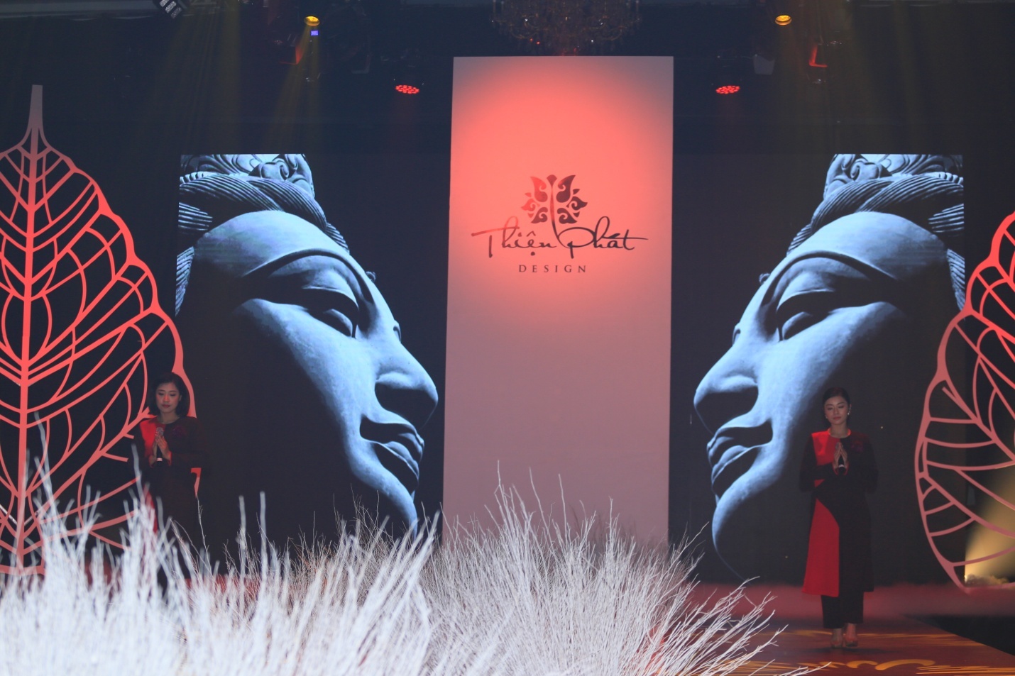 Thien Phat design anh 9