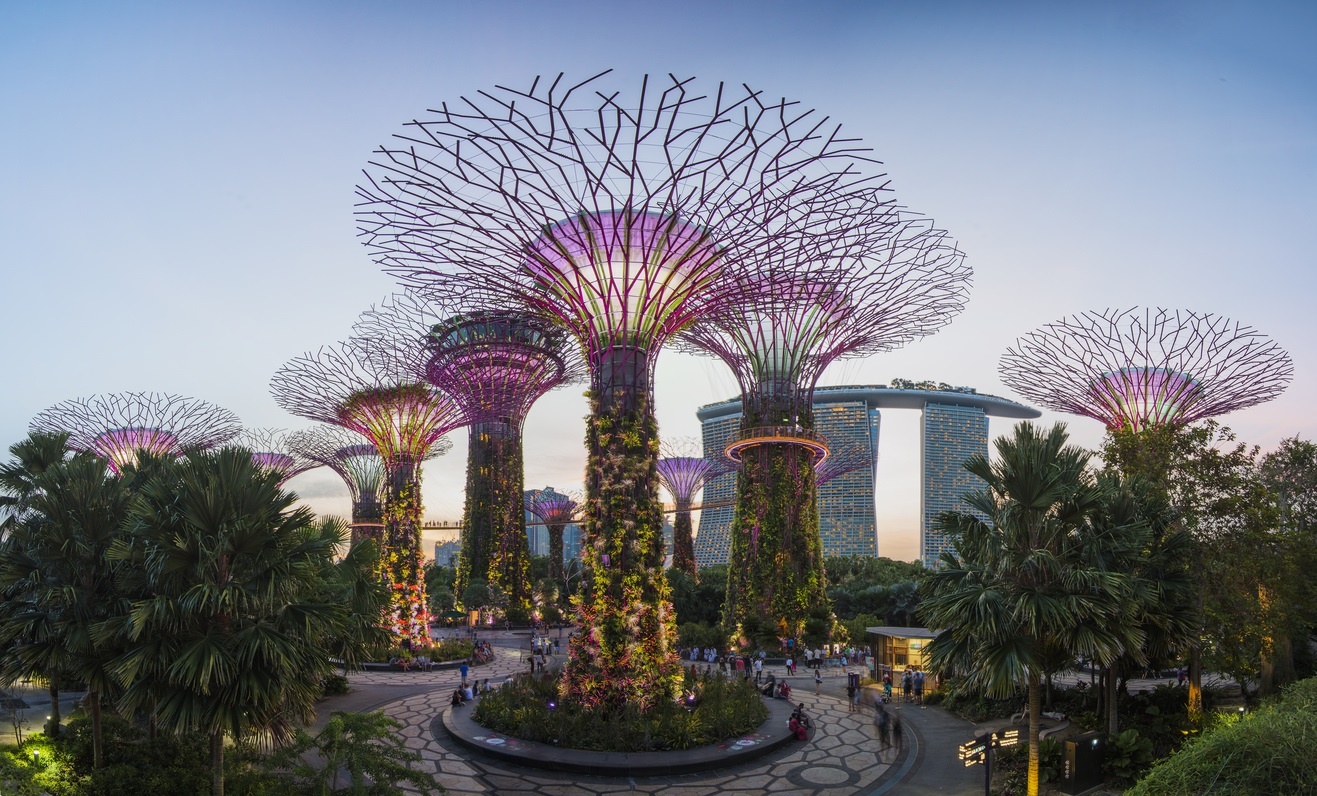 Singapore Airlines ảnh 3 Singapore Airlines anh 3