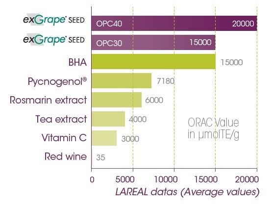 Oribe ảnh 2 Oribe anh 2