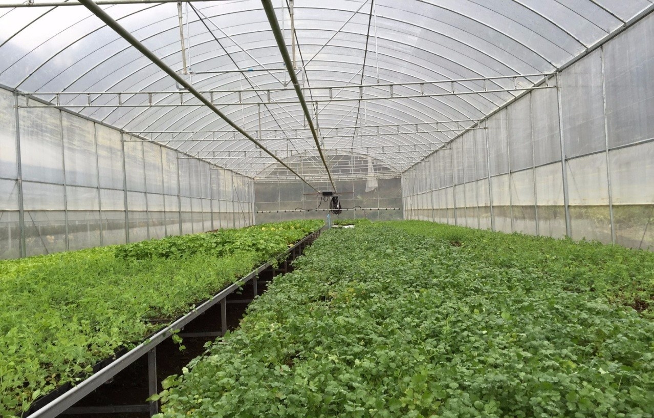 Minh Hưng Group ảnh 2 Minh Hung Group anh 2