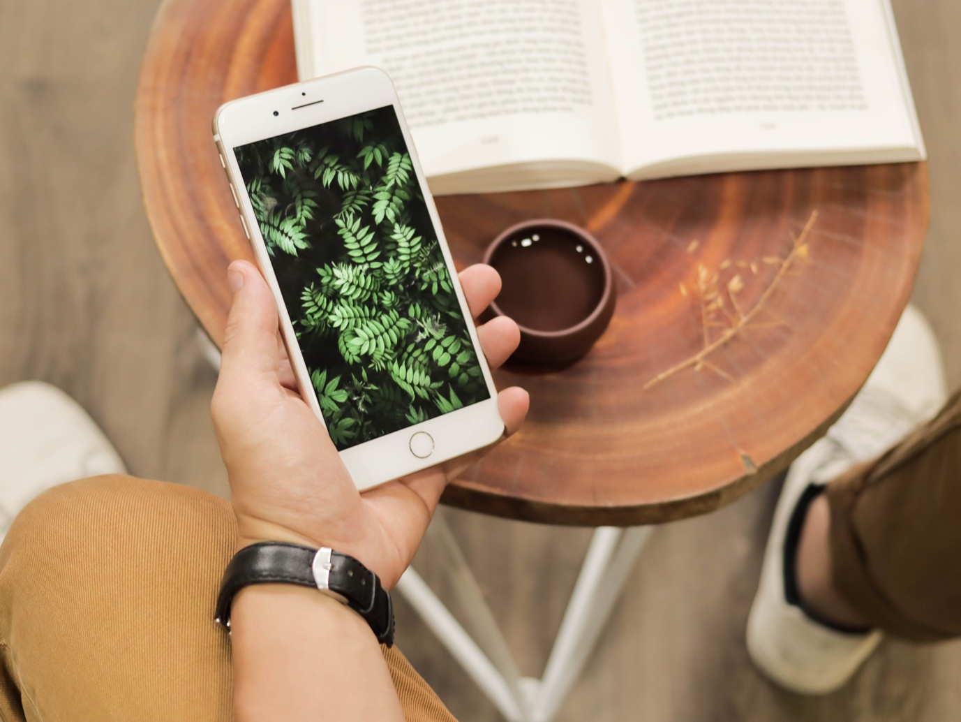 Di Động Việt ảnh 1 Di Dong Viet anh 1