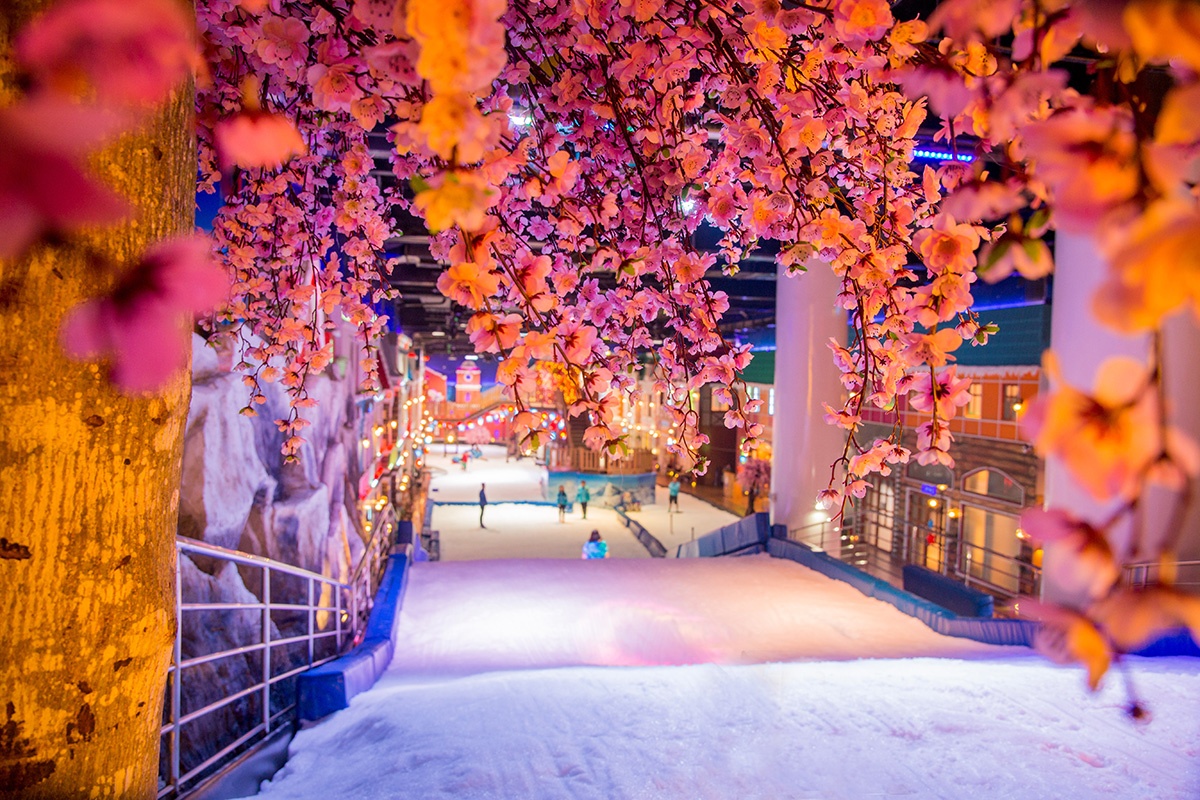 Snow Town ảnh 1 Snow Town anh 1