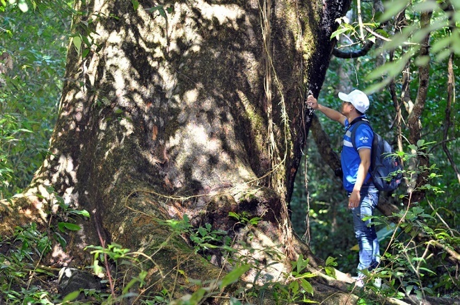 Orchard Home Resort ảnh 2 Orchard Home Resort anh 2