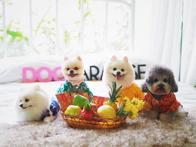 Ngam dan cun ngo nghinh trong bo suu tap ao dai Tet hinh anh