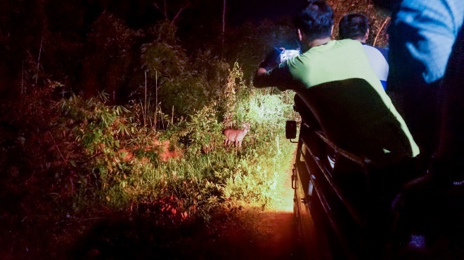 Orchard Home Resort ảnh 3 Orchard Home Resort anh 3