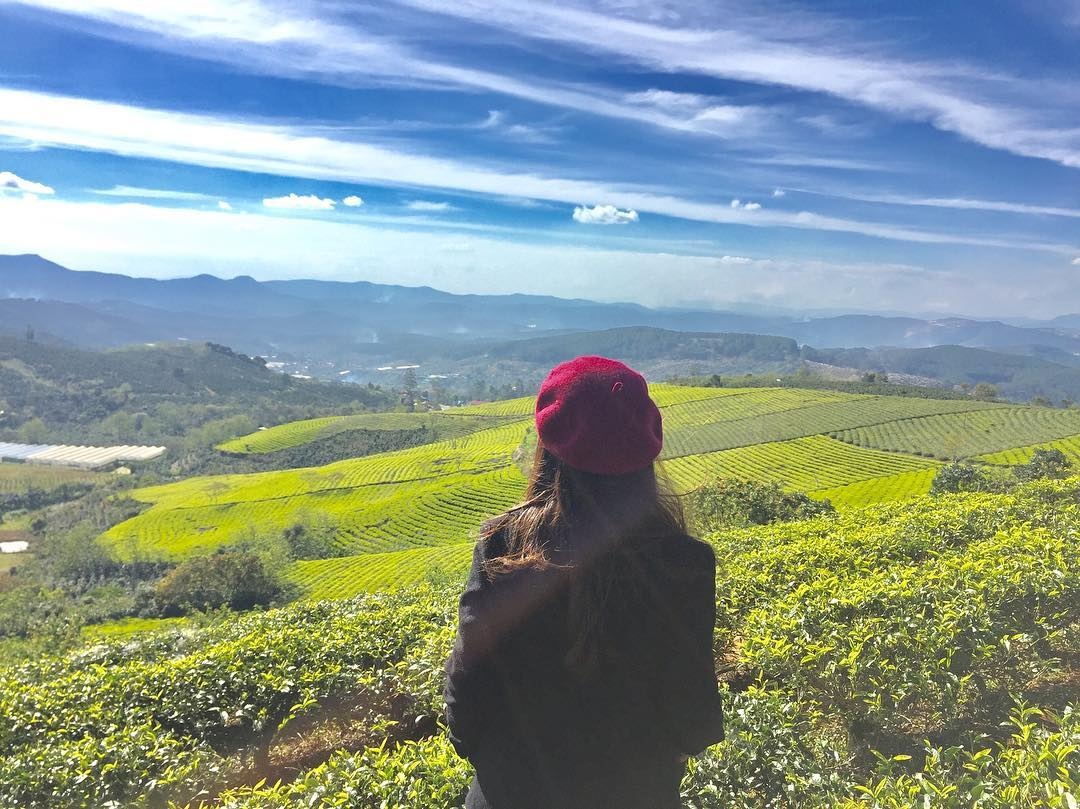 Đà Lạt Trong Tôi ảnh 1 Da Lat Trong Toi anh 1