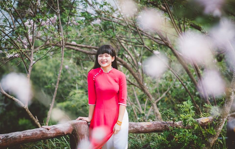 3 hoat dong thu vi kho bo lo tai Ho May Park trong dip Tet hinh anh