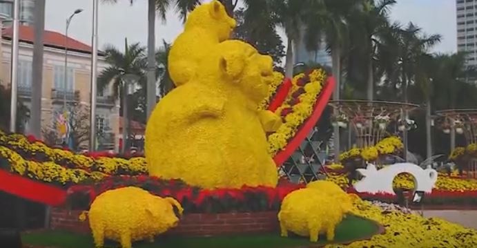 Don xuan tai Da Nang, du khach phan khich truoc tuyet tac duong hoa hinh anh