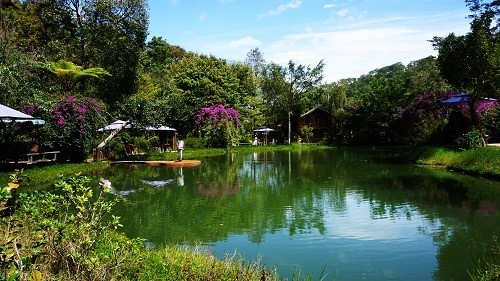 Đà Lạt Trong Tôi ảnh 1 Da Lat Trong Toi anh 1