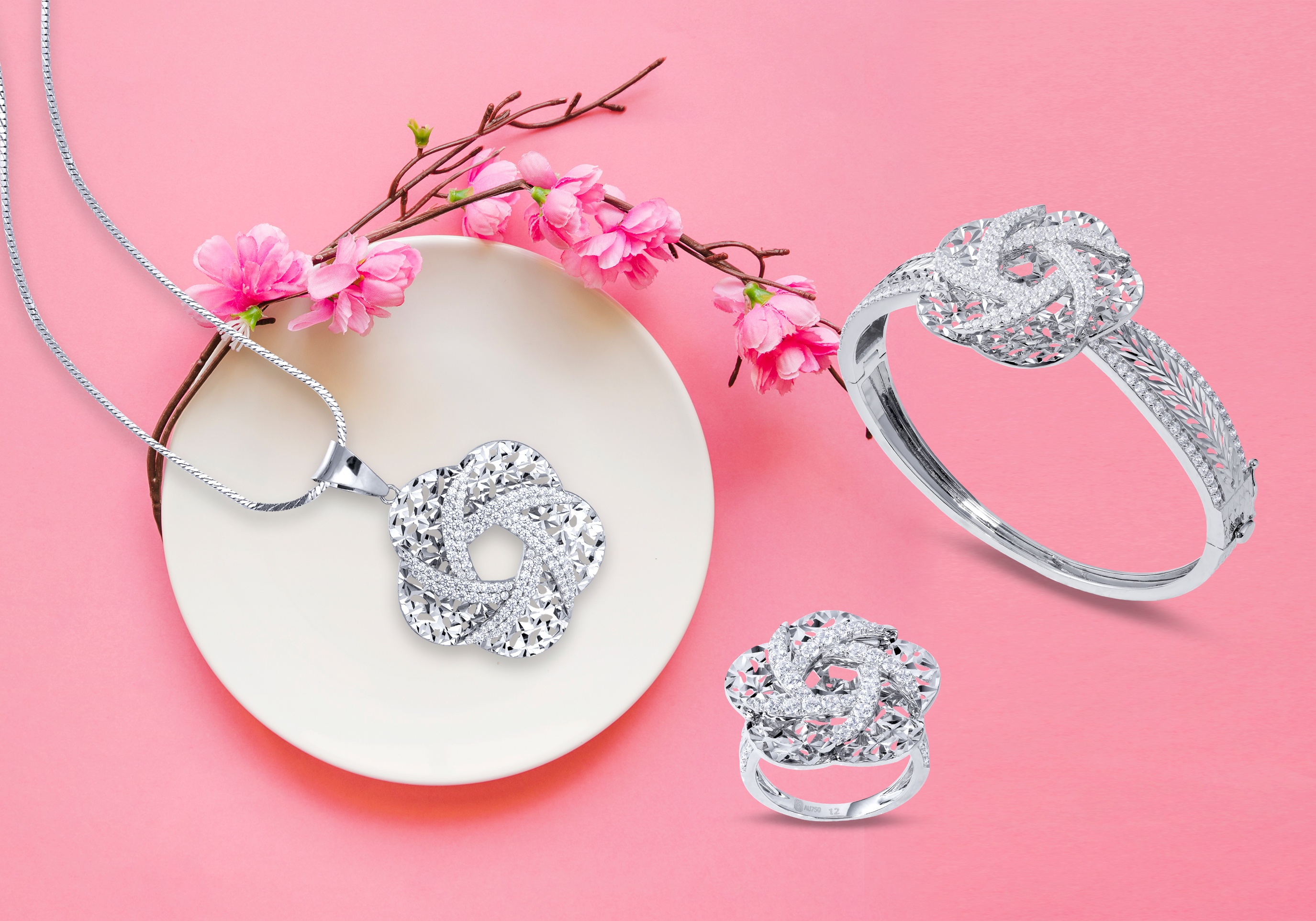 Bo suu tap trang suc lay cam hung tu canh hoa cho Valentine hinh anh