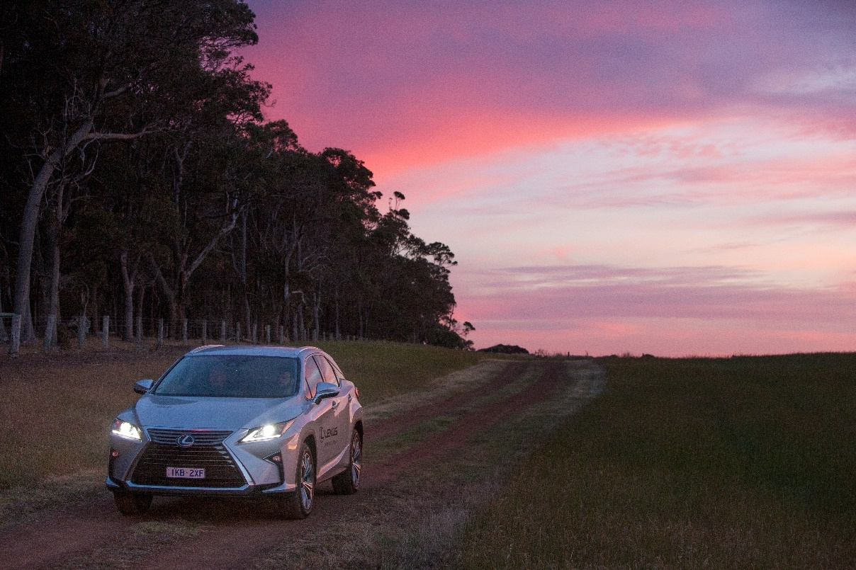 Trai nghiem doc dao ket hop giua xe sang va am thuc hinh anh