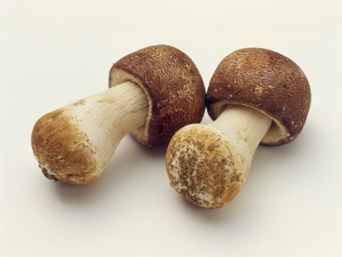 Fucoidan 3-Plus anh 2