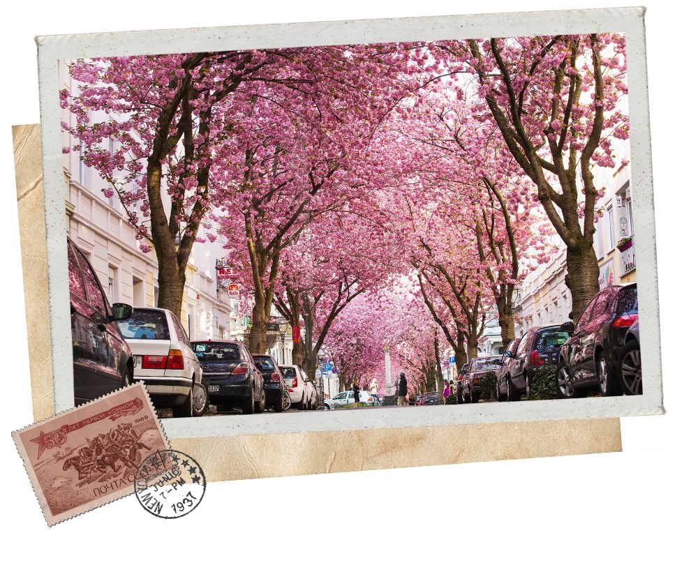 Vietravel ảnh 9 Vietravel anh 9