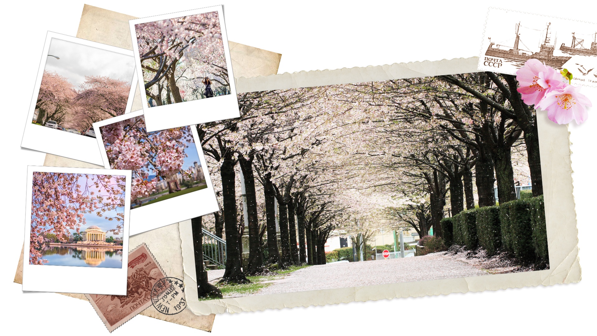 Vietravel ảnh 12 Vietravel anh 12
