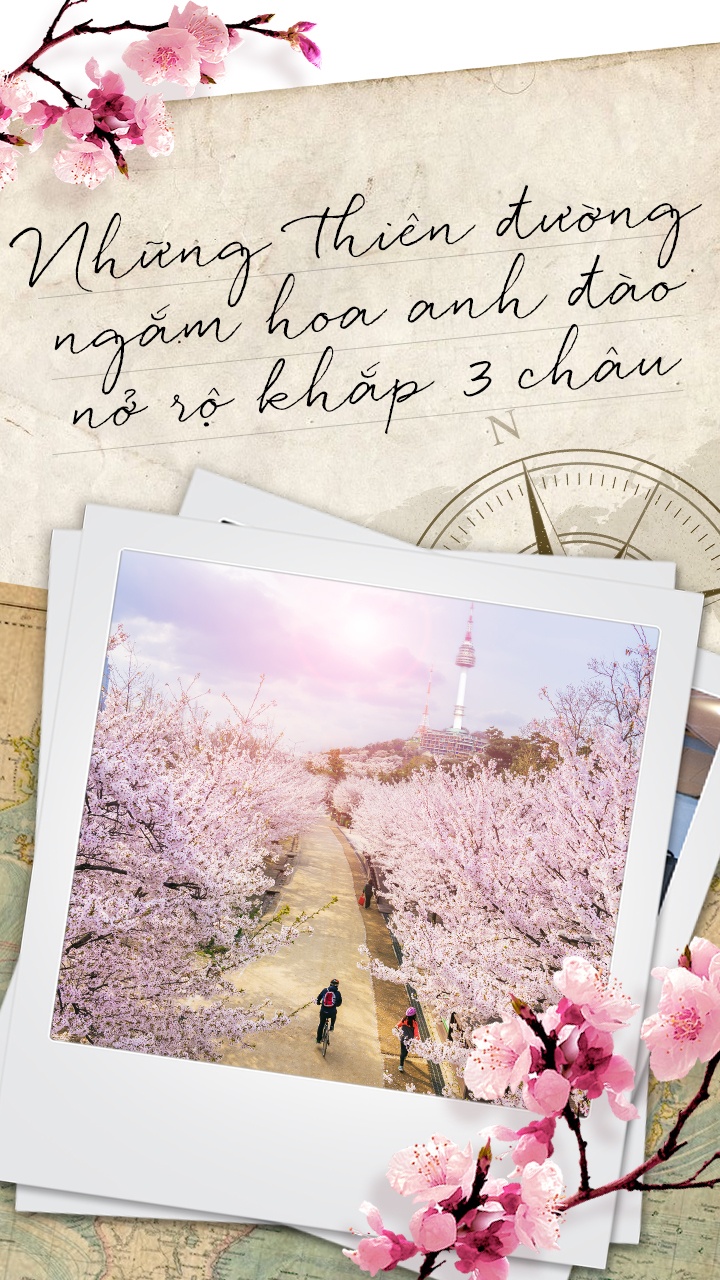 Vietravel ảnh 1 Vietravel anh 1