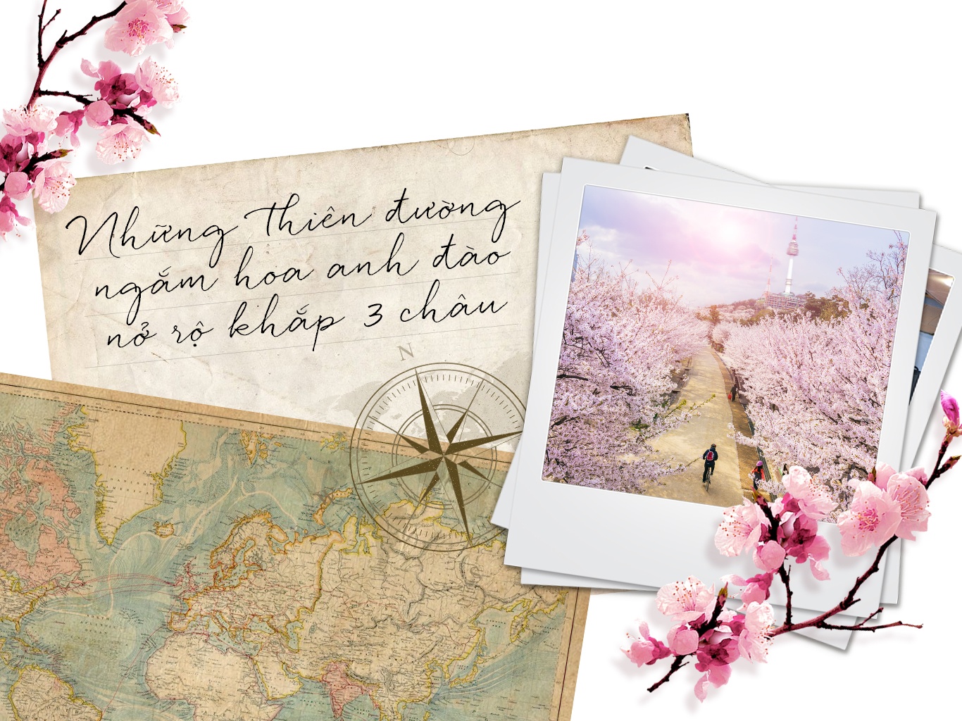 Nhung thien duong ngam hoa anh dao no ro khap 3 chau hinh anh