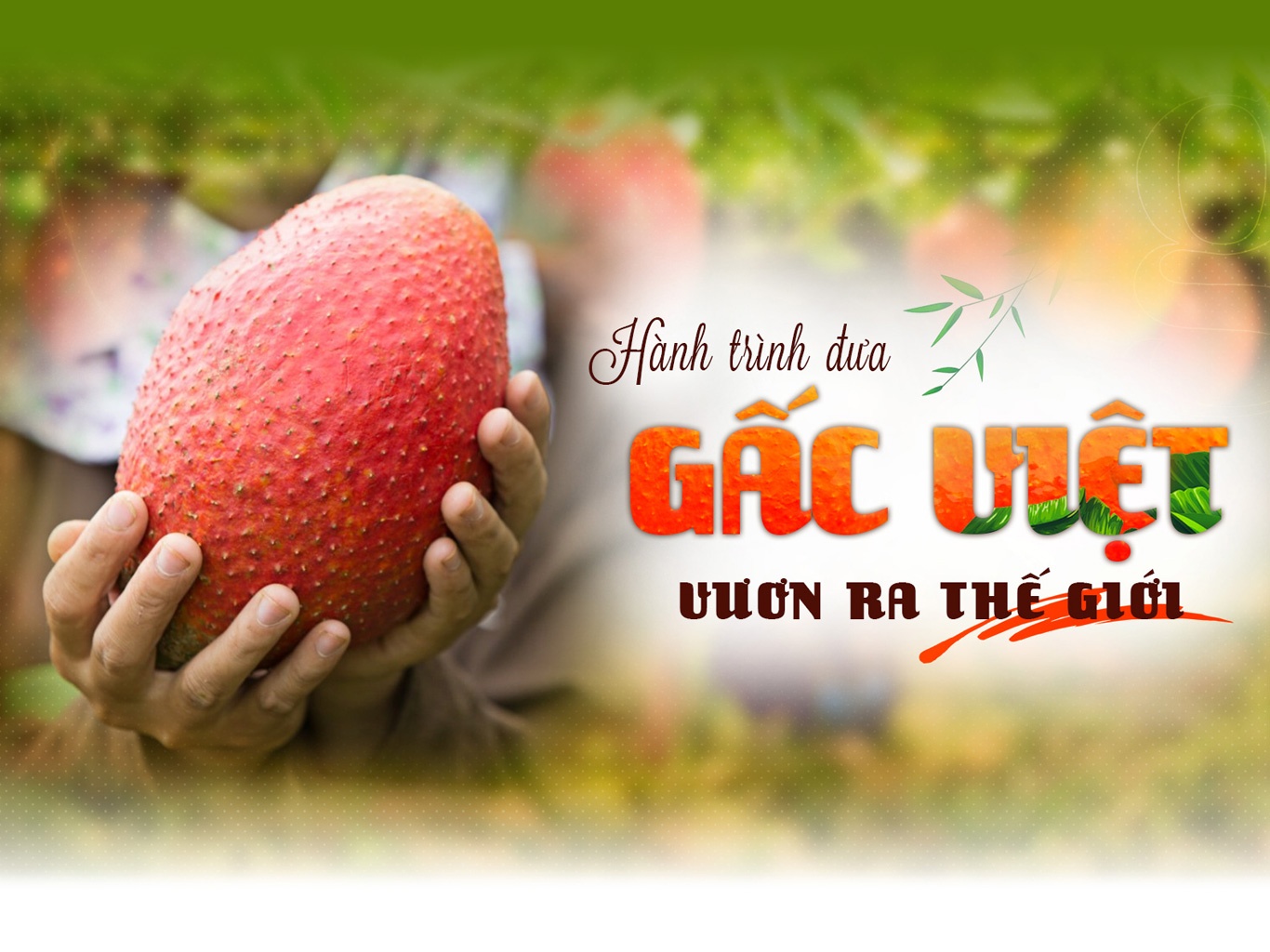 Hanh trinh dua gac Viet vuon ra the gioi hinh anh