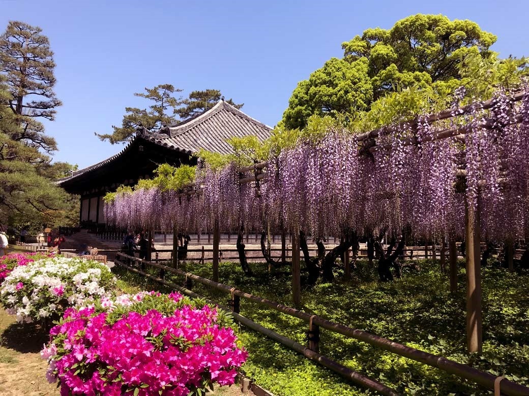 Vietravel Ha Noi anh 5