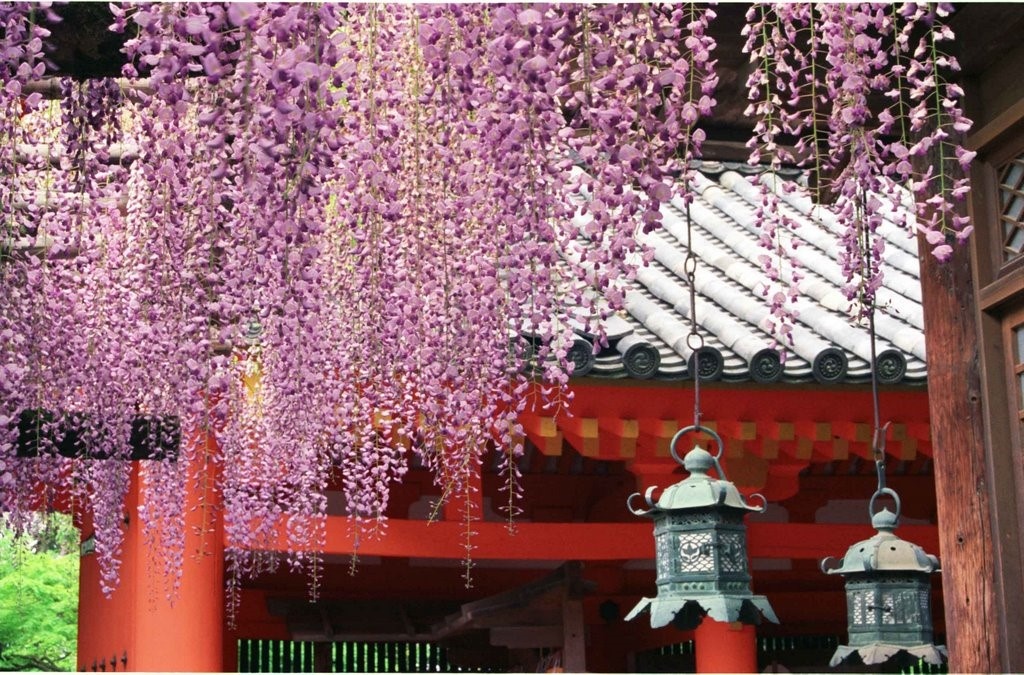 Vietravel Ha Noi anh 6