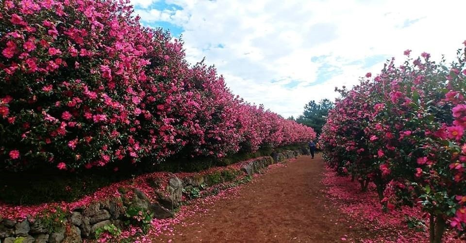 Vietravel Ha Noi anh 7