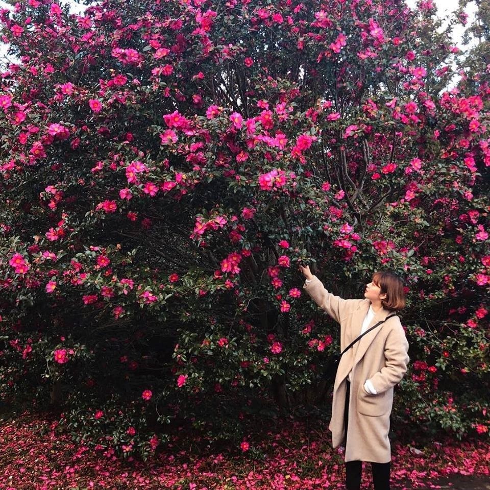 Vietravel Ha Noi anh 8