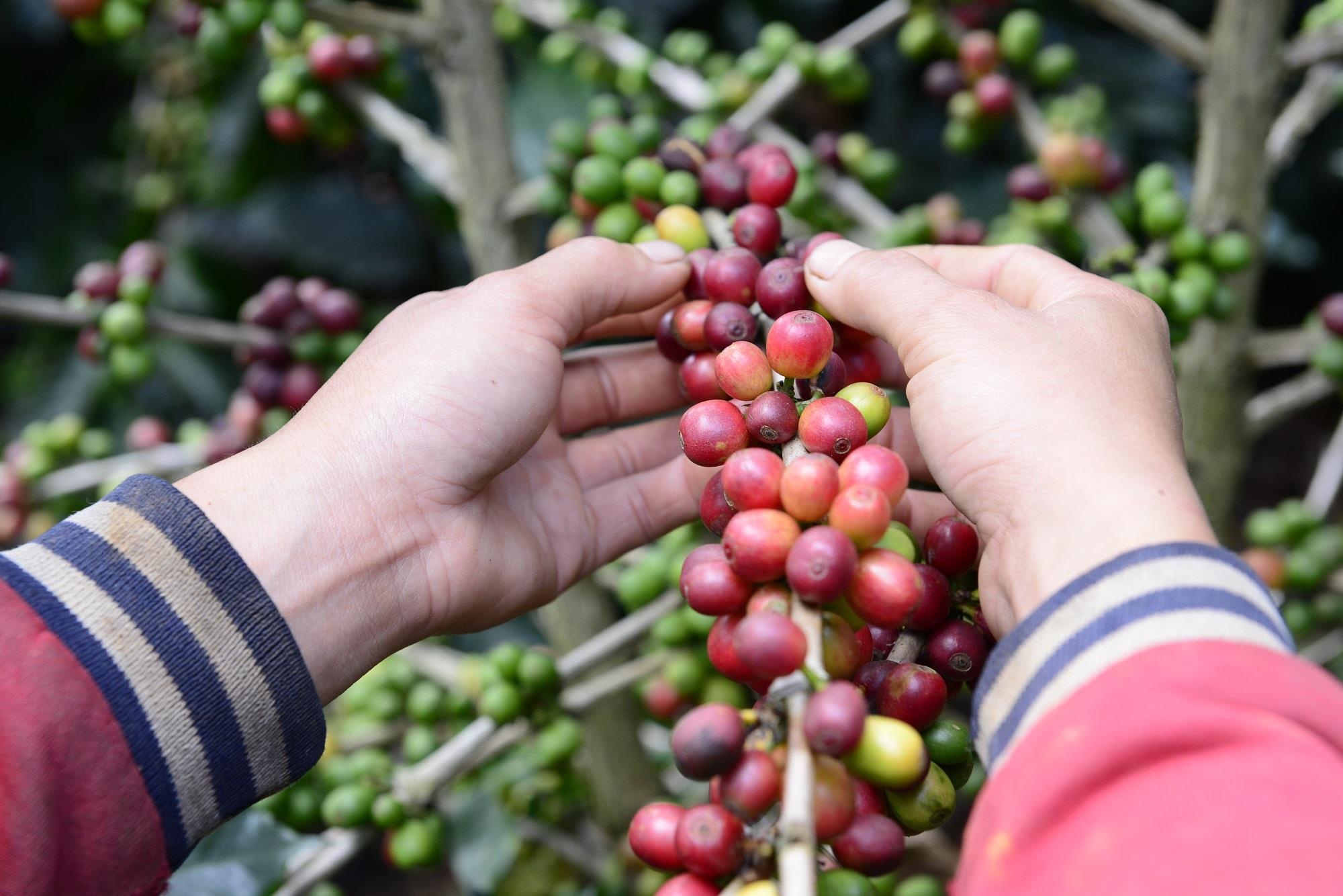 Blue Son La ảnh 3 Blue Son La anh 3