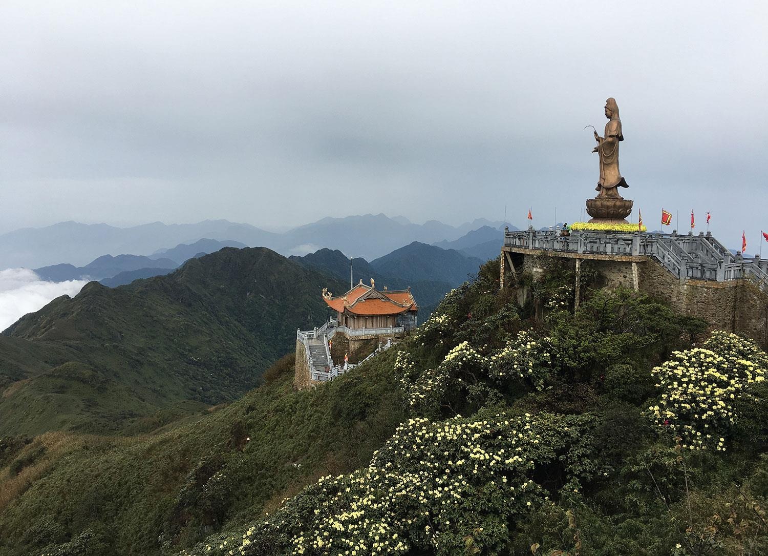 sungroup ảnh 4 sungroup anh 4