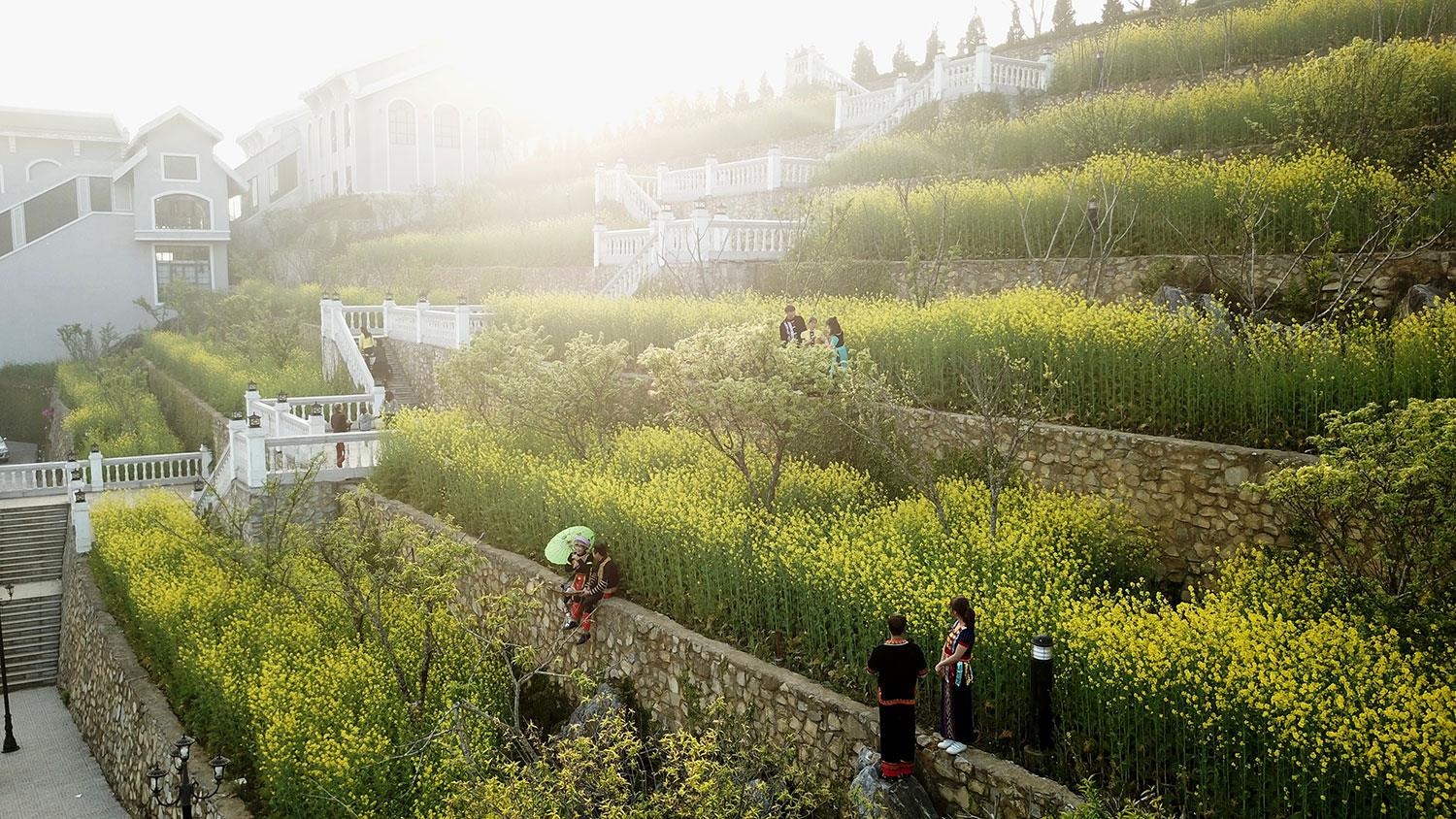 sungroup ảnh 5 sungroup anh 5