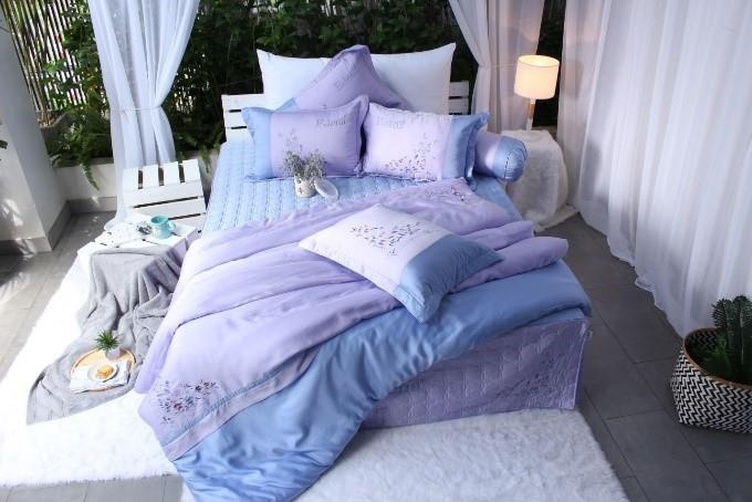 Edena uu dai lon dip khai truong showroom Luy Ban Bich hinh anh