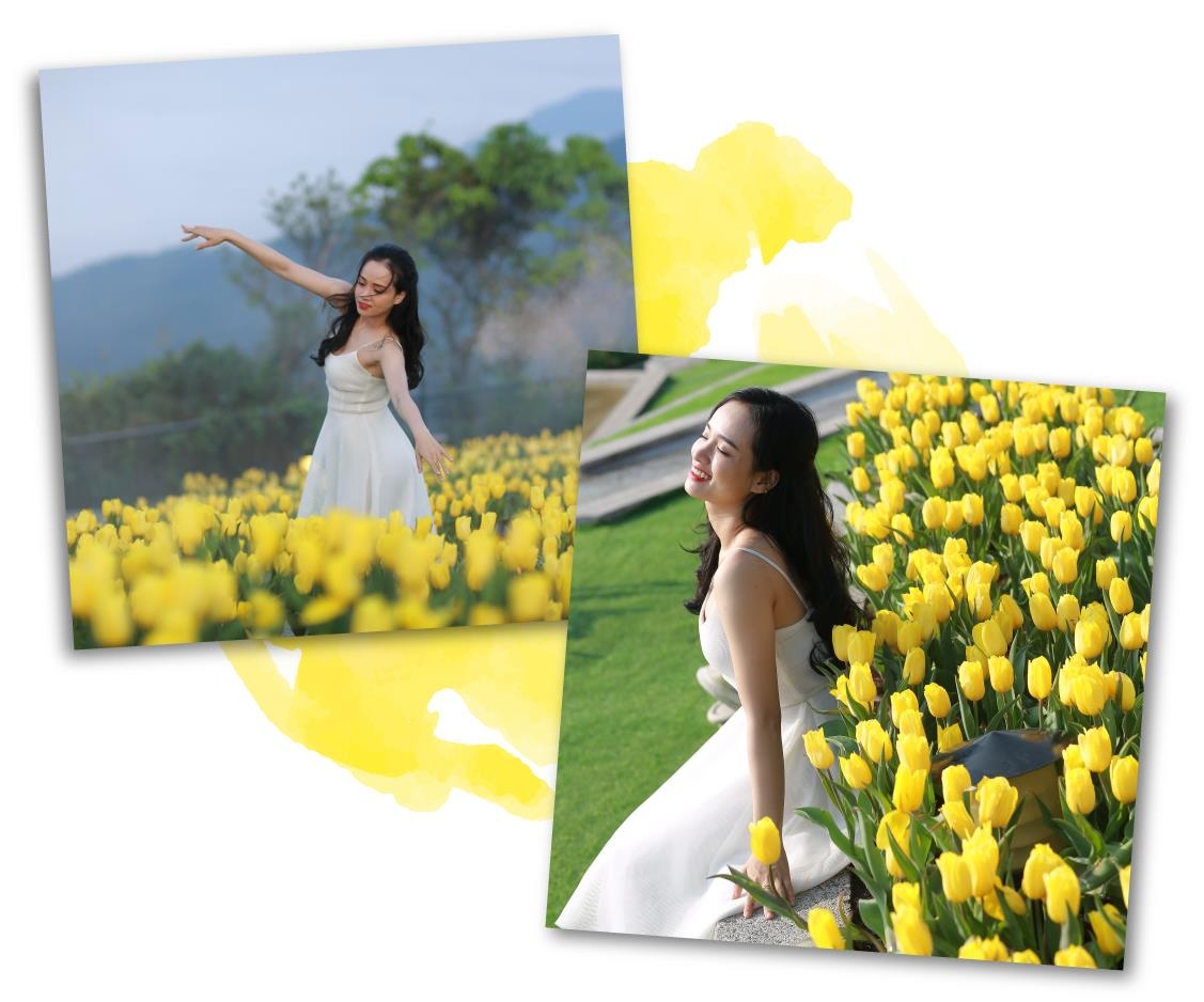 Sun Group, hoa tulip ảnh 8 Sun Group, hoa tulip anh 8