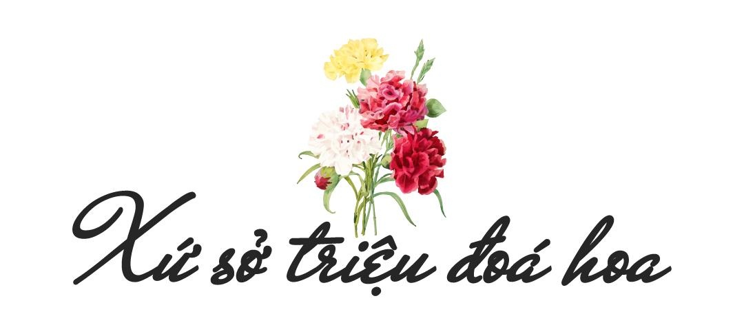 Sun Group, hoa tulip ảnh 4 Sun Group, hoa tulip anh 4