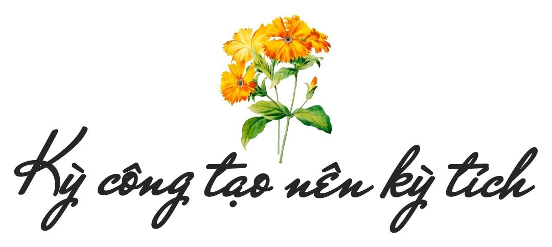 Sun Group, hoa tulip ảnh 6 Sun Group, hoa tulip anh 6