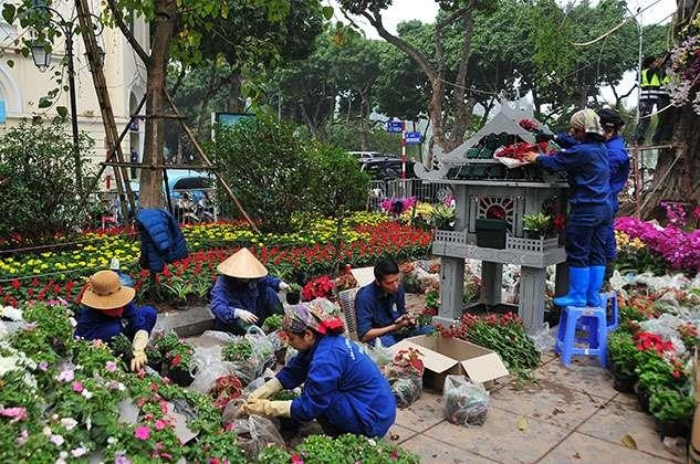 Lễ hội hoa anh đào ảnh 2 Le hoi hoa anh dao anh 2