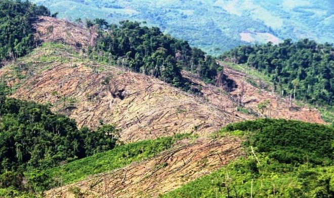 Công ty dược Tuệ Linh ảnh 1 Cong ty duoc Tue Linh anh 1