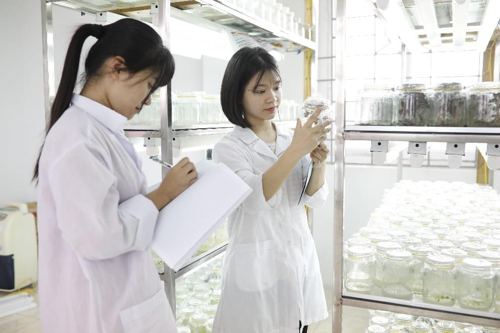 ĐH Nông Lâm Thái Nguyên ảnh 2 DH Nong Lam Thai Nguyen anh 2