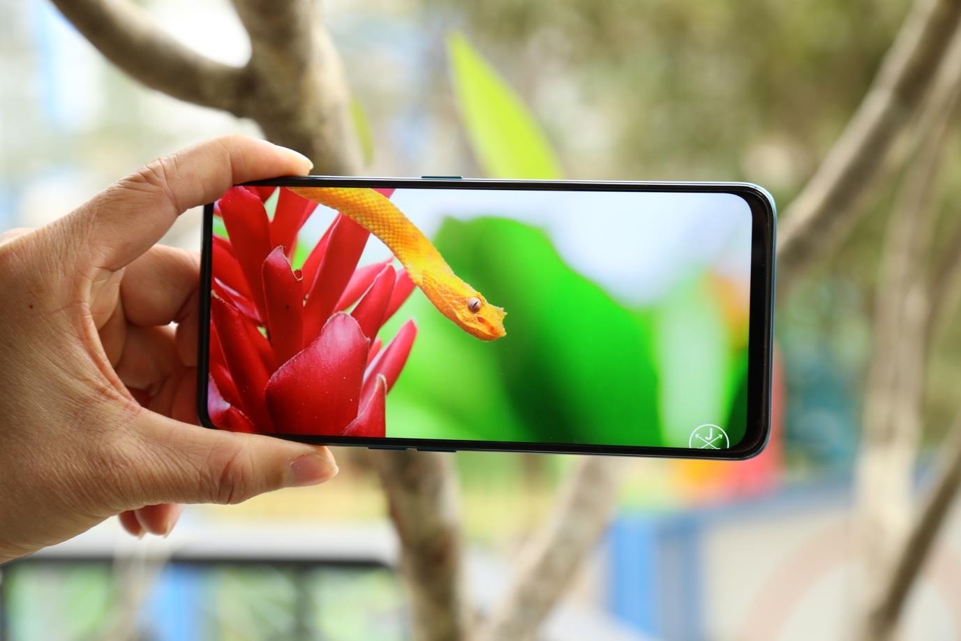 Pin Oppo F11 Pro khien toi hai long nhu the nao? hinh anh