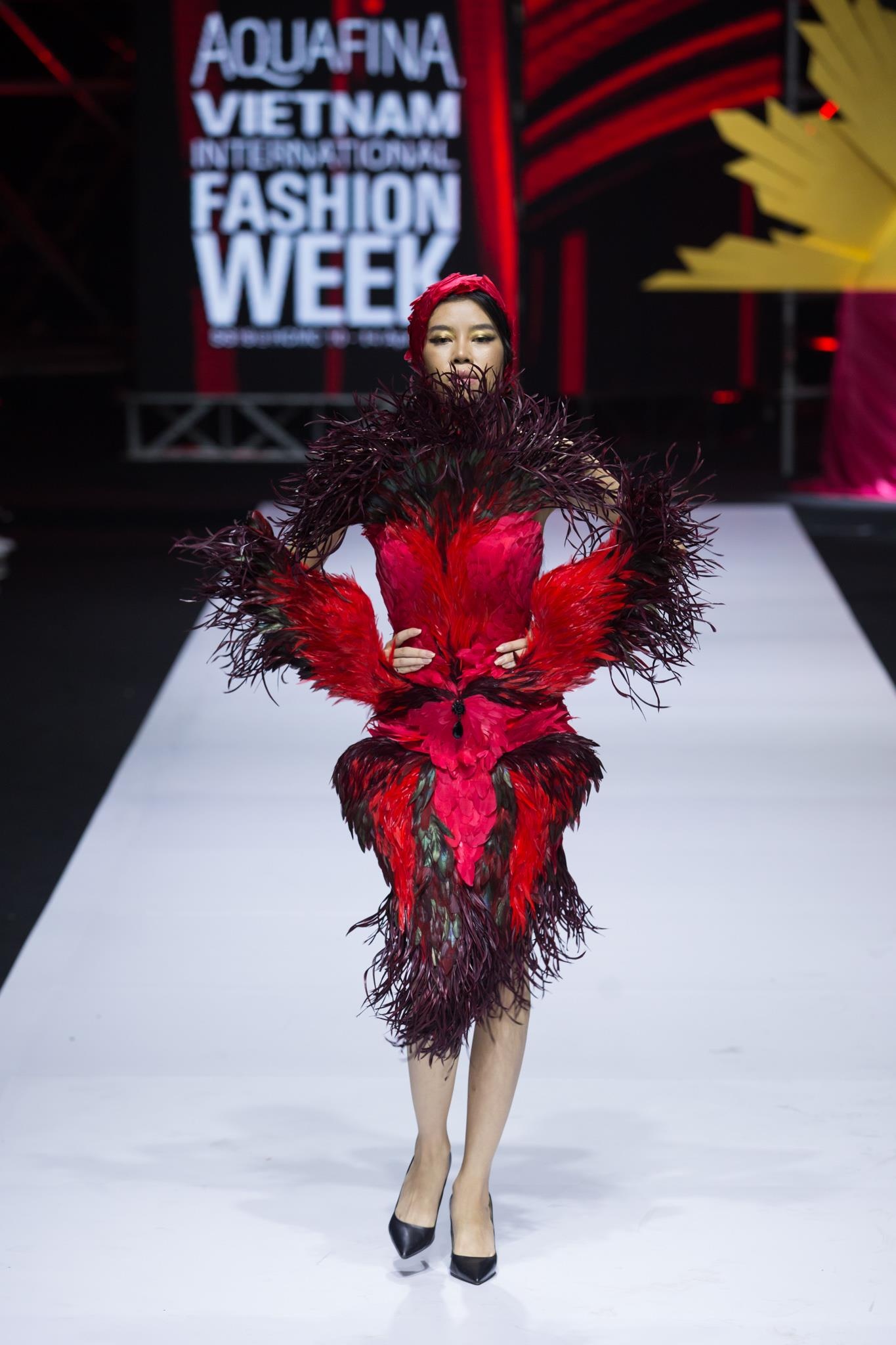 Auqafina VIFW 2019 anh 11